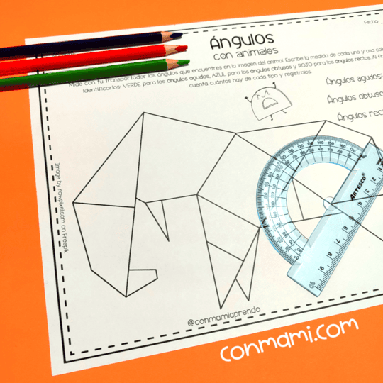 Angulos con animales 4