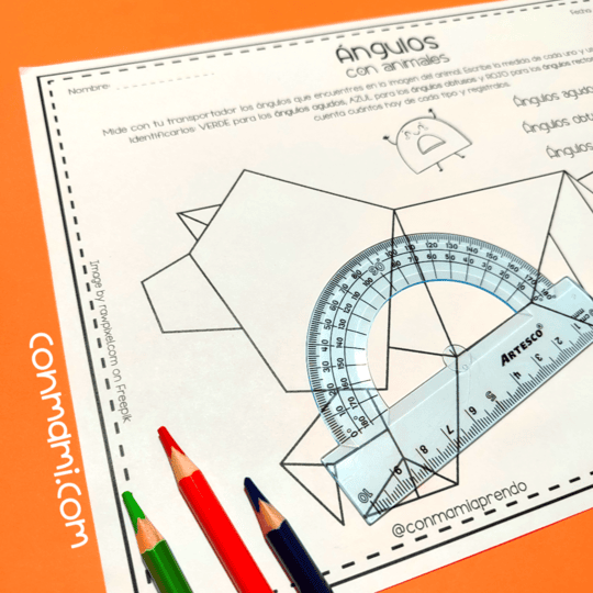 Angulos con animales 6